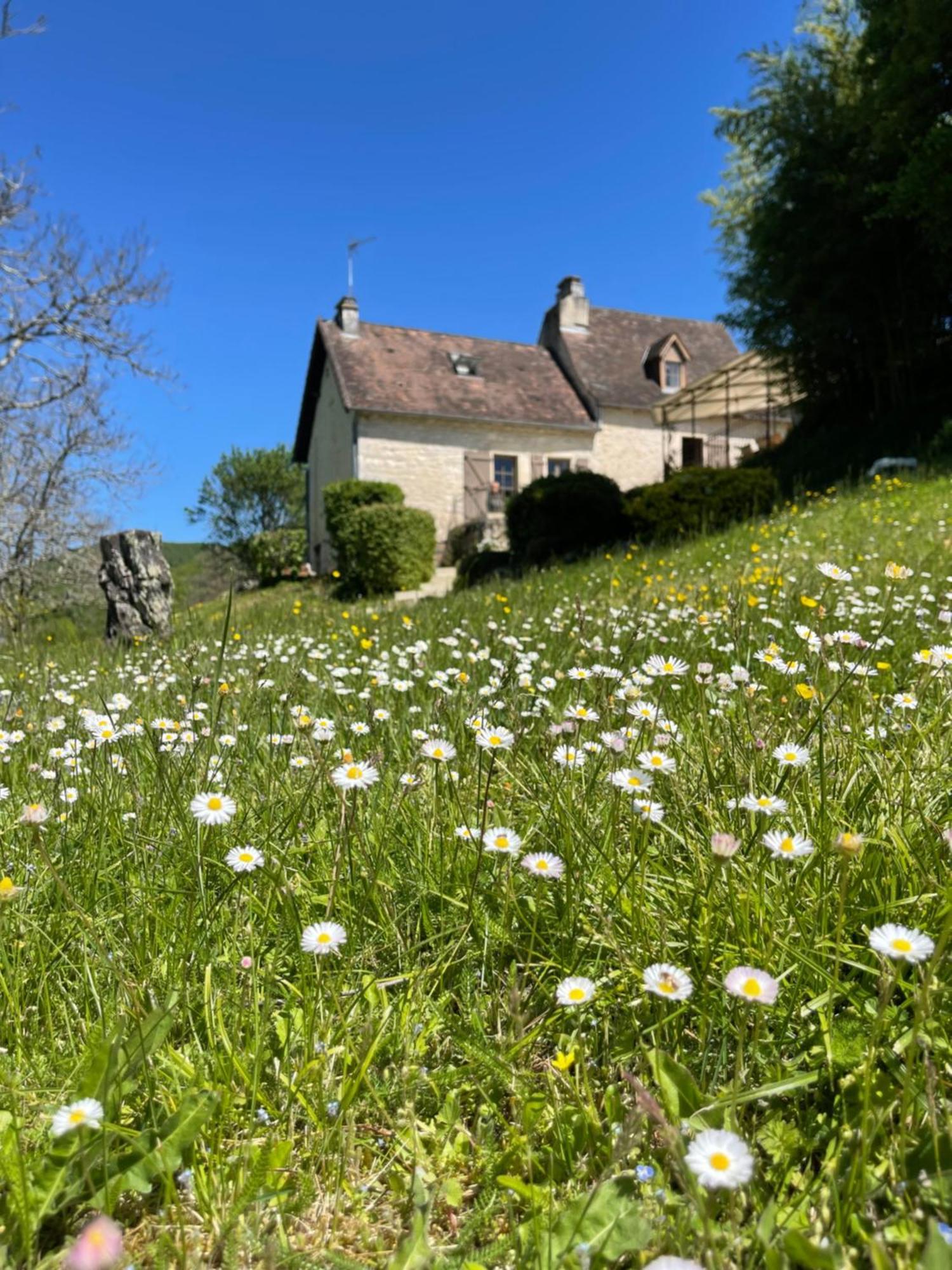 Domaine Du Bonheur En Pierre Avec Piscine, Proche Sarlat Villa Carlux Exterior foto